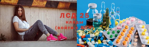СК Корсаков
