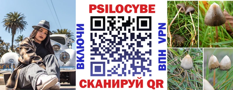 Псилоцибиновые грибы Cubensis Любань