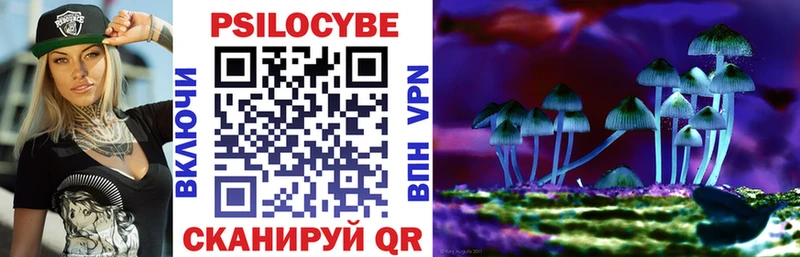 Купить где  Любань  Галлюциногенные грибы MAGIC MUSHROOMS 